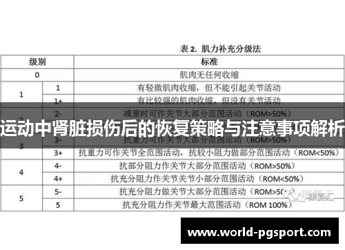 运动中肾脏损伤后的恢复策略与注意事项解析
